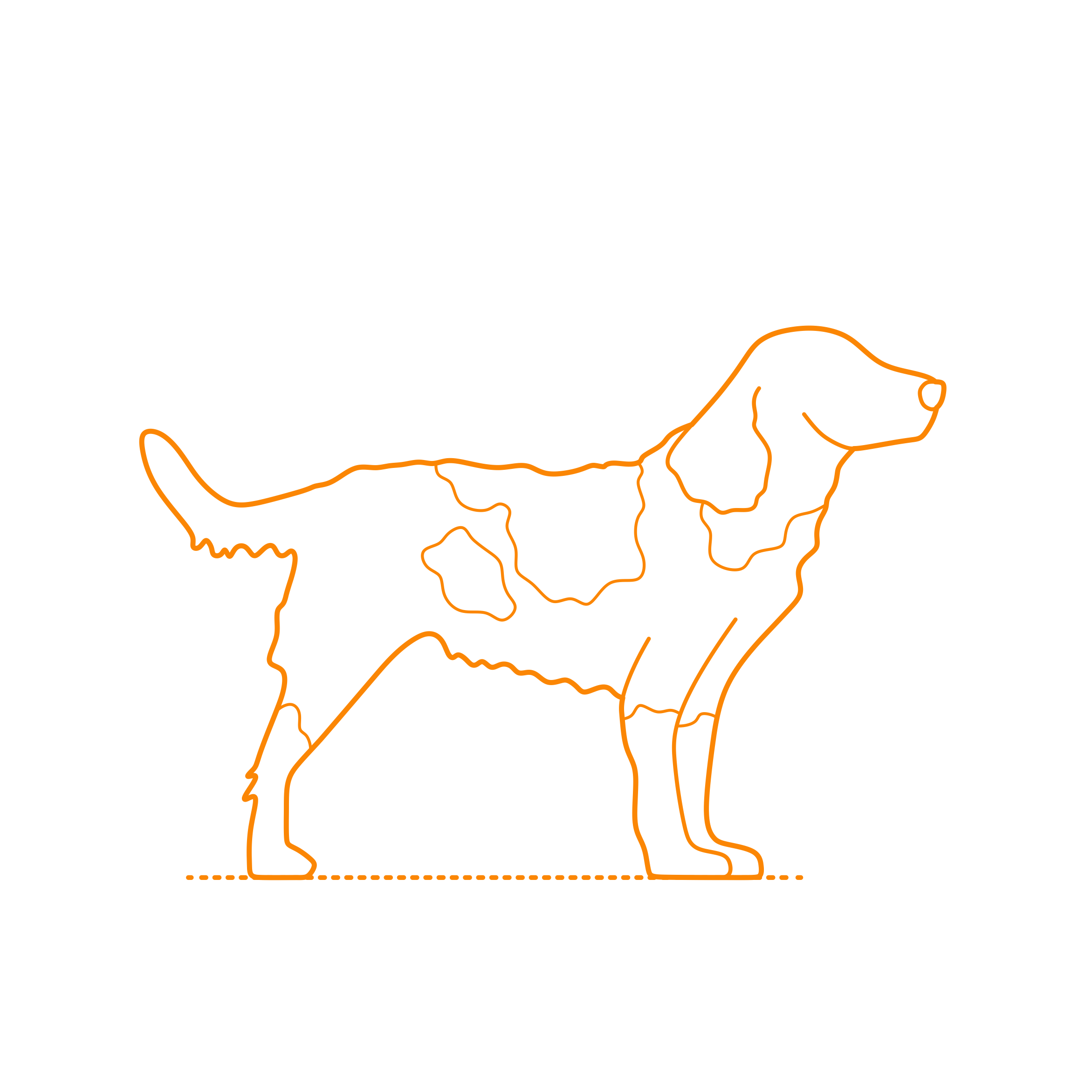 Animals Dogs Deutscher Wachtelhund Stencil Svg Design File Free Vectors